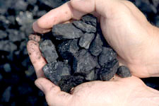 Coal